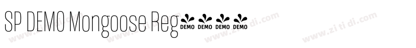 SP DEMO Mongoose Reg字体转换
